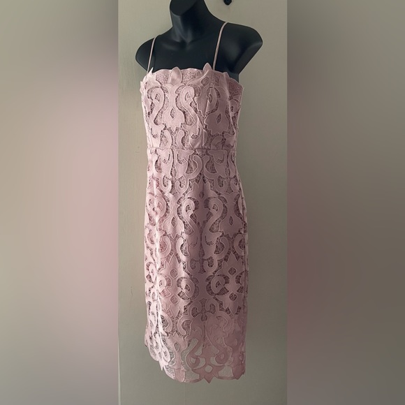 Bardot Pink Rose Lina Lace Dress Size 6 - Picture 1 of 13